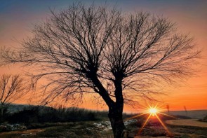 تداوم جو پایدار در آذربایجان غربی تداوم جو پایدار در آذربایجان غربی