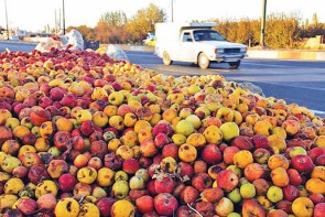 دسترنج باغداران آذربایجان غربی در کنار جاده ها! دسترنج باغداران آذربایجان غربی در کنار جاده ها!