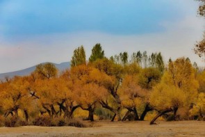 آغاز افزایش نامحسوس دما در سطح استان آغاز افزایش نامحسوس دما در سطح استان