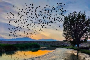 دمای هوای آذربایجانغربی خنک میشود دمای هوای آذربایجانغربی خنک میشود