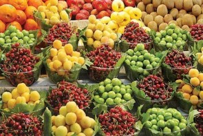 دلیل بالا بودن قیمت امسال گیلاس صادرات به کشورهای حوزه خلیج فارس است دلیل بالا بودن قیمت امسال گیلاس صادرات به کشورهای حوزه خلیج فارس است