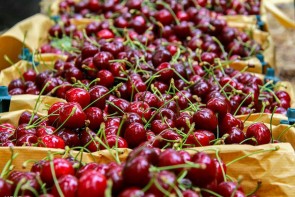 سود بالای صادرات در جیب دلالان سود بالای صادرات در جیب دلالان